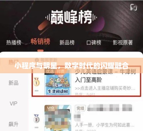 小程序與明星，數(shù)字時(shí)代的閃耀融合