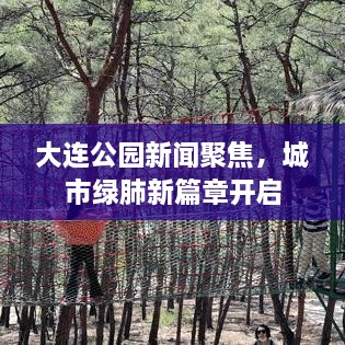 大連公園新聞聚焦，城市綠肺新篇章開啟