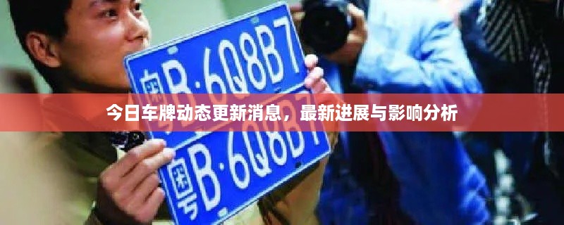 今日車牌動態(tài)更新消息，最新進展與影響分析