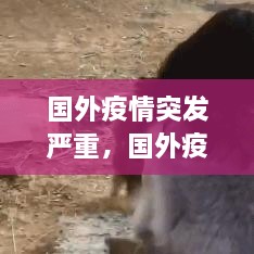 jiusiyisheng