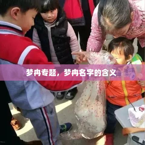 夢冉專題，夢冉名字的含義 