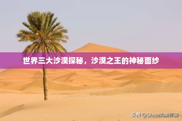 張牙舞爪