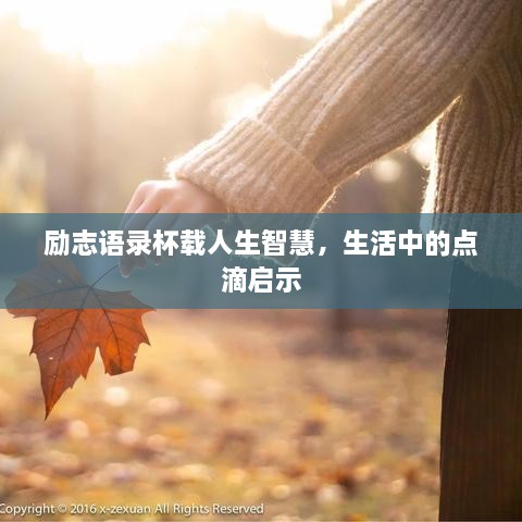 不知所云