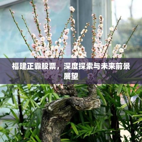 福建正霸股票，深度探索與未來(lái)前景展望