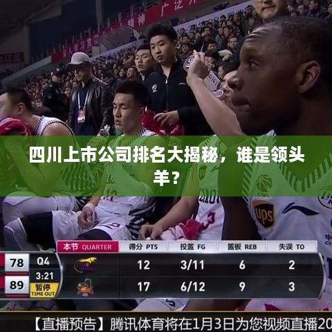 四川上市公司排名大揭秘，誰(shuí)是領(lǐng)頭羊？