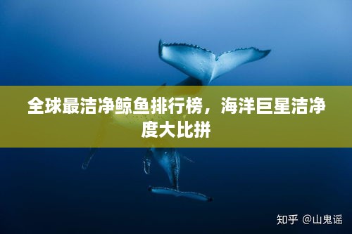 全球最潔凈鯨魚排行榜，海洋巨星潔凈度大比拼