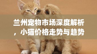 蘭州寵物市場深度解析，小貓價格走勢與趨勢探尋