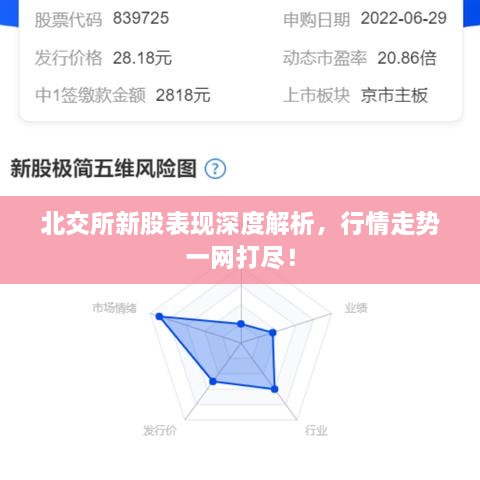 北交所新股表現(xiàn)深度解析，行情走勢一網(wǎng)打盡！