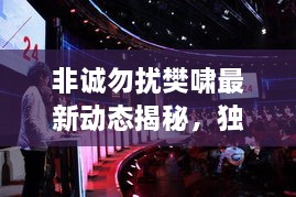 非誠勿擾樊嘯最新動態(tài)揭秘，獨家爆料吸引眼球！