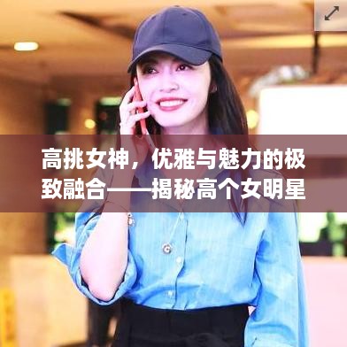 高挑女神，優(yōu)雅與魅力的極致融合——揭秘高個(gè)女明星的魅力風(fēng)采